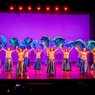 Gala Show 2024
